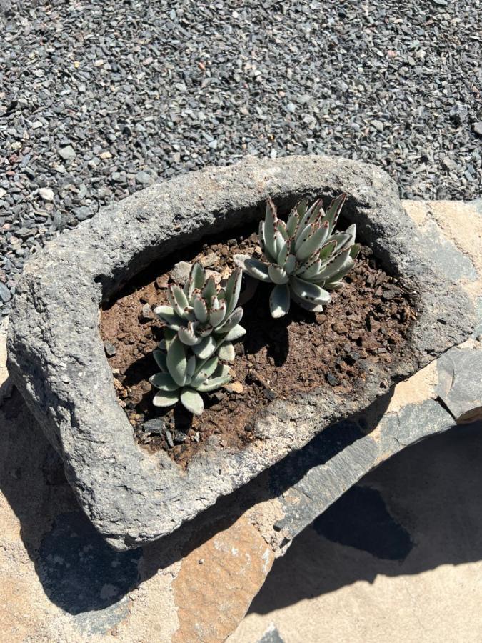 Casa Rural Con Bano Adaptado Y Piscina En Mogan Mogán Exterior foto
