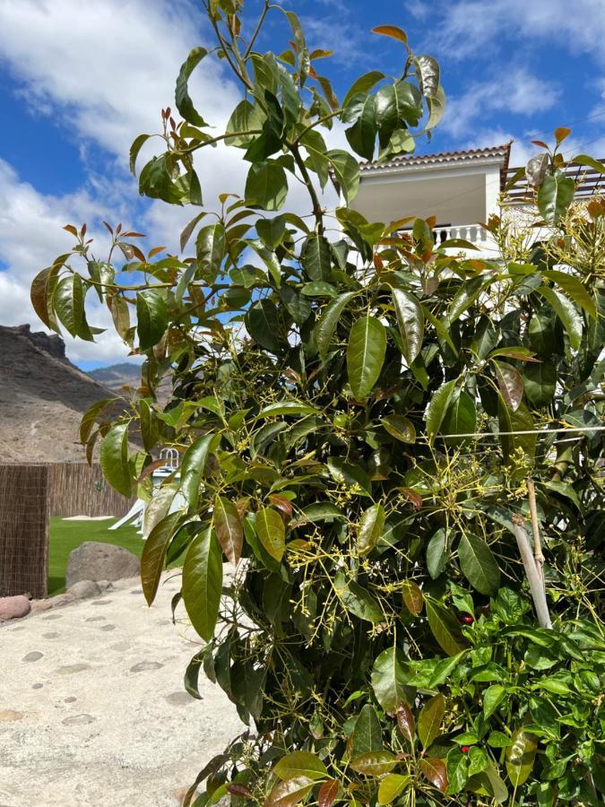 Casa Rural Con Bano Adaptado Y Piscina En Mogan Mogán Exterior foto